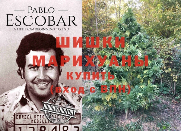 индика Лиски